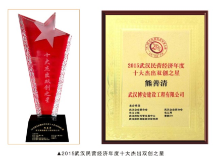 2015武漢民營經濟年度十大杰出雙創之星