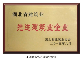 先進建筑業企業
